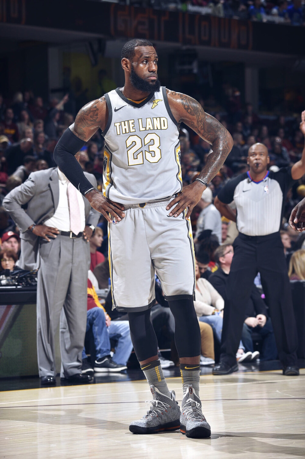 位置与形态 位置与形态